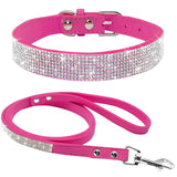 Pet Collar w/ matching leash