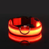 Flashing Glow Dog Collar