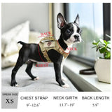 Chihuahua Cloth Small Dog Tactical Vest Training Harness xs Outdoor Working  Adjustable Military MOLLE with Rubber Handle