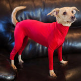 Pet Dog Onesie Clothes Medium Large Dog Pajamas Anxiety Calming Shirt 4 Legs Dog Jumpsuit Prevent Shedding Hair Surgery Recovery