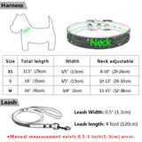 Pet Collar w/ matching leash