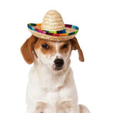 Cute Mini Puppy Dog Straw Woven Sun Hat Cap Mexican Sombrero Pet Supplies