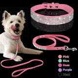 Pet Collar w/ matching leash