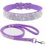 Pet Collar w/ matching leash