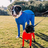 Pet Dog Onesie Clothes Medium Large Dog Pajamas Anxiety Calming Shirt 4 Legs Dog Jumpsuit Prevent Shedding Hair Surgery Recovery