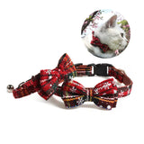 Red Striped Puppy Collar