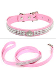 Pet Collar w/ matching leash