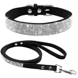 Pet Collar w/ matching leash