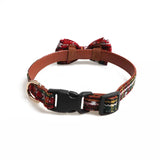 Red Striped Puppy Collar