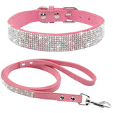 Pet Collar w/ matching leash