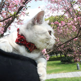 Red Striped Puppy Collar