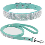 Pet Collar w/ matching leash