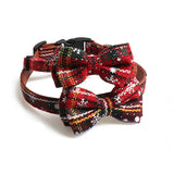 Red Striped Puppy Collar