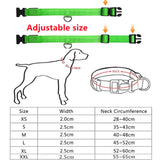 LED Glowing Adjustable Dog Collar