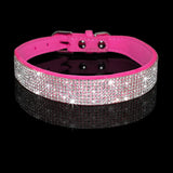 Pet Collar w/ matching leash